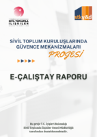 e-Çalıştay Raporu